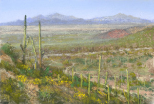 Saguaro National Park 2 by Western pastel landscape artist Don Rantz